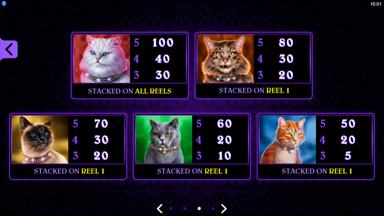 Payout table in Pretty Kitty game